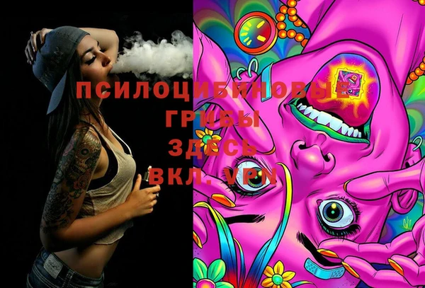 apvp Вяземский